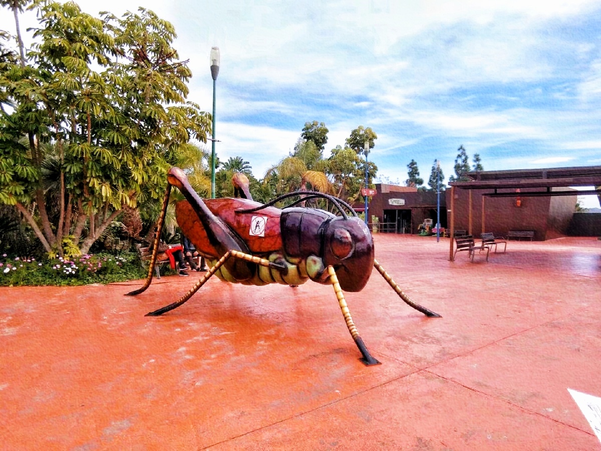 虫鸭～ - 看瓜少女与猹0502 - 图虫