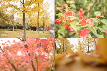 4DBCC18F-07CE-492C-9C8B-0B9A2A1CCBC7/L0/001