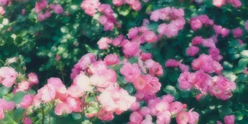 565FC2D6-E7F4-4FF6-9DDD-AB7E6D9C954A/L0/001