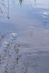 7604378E-4B10-4DC6-B503-2FCE5BB7BD01/L0/001