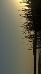 08776362-AFAC-4D53-9FDD-1D140B34D3CD/L0/001