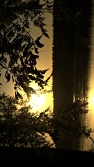 49137924-3D0C-4B4D-B438-F190BF51E4D8/L0/001