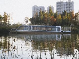51036