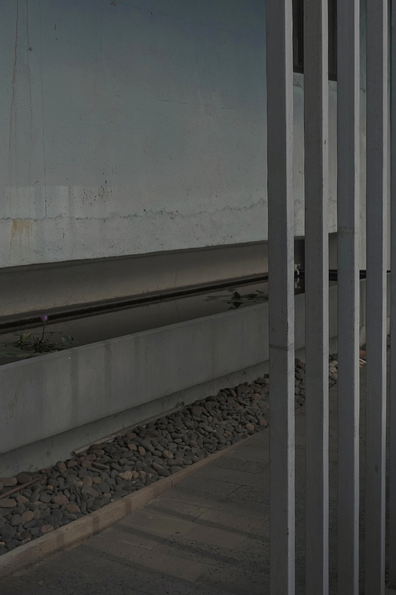 800_1200竖版 竖屏