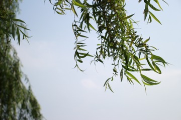 8F992E3D-4AF5-4A2D-96C7-846B16CB2433/L0/001