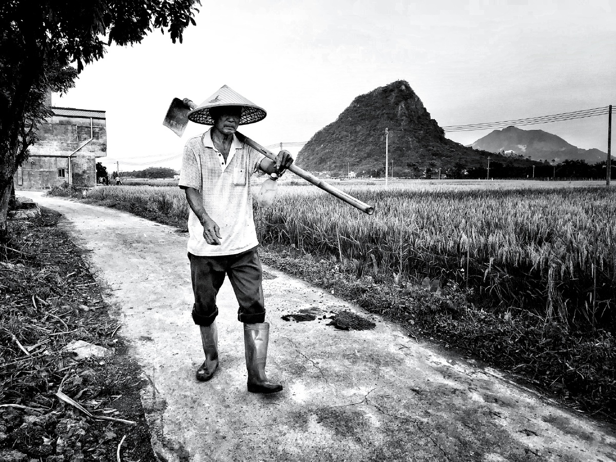 老农走在新路上