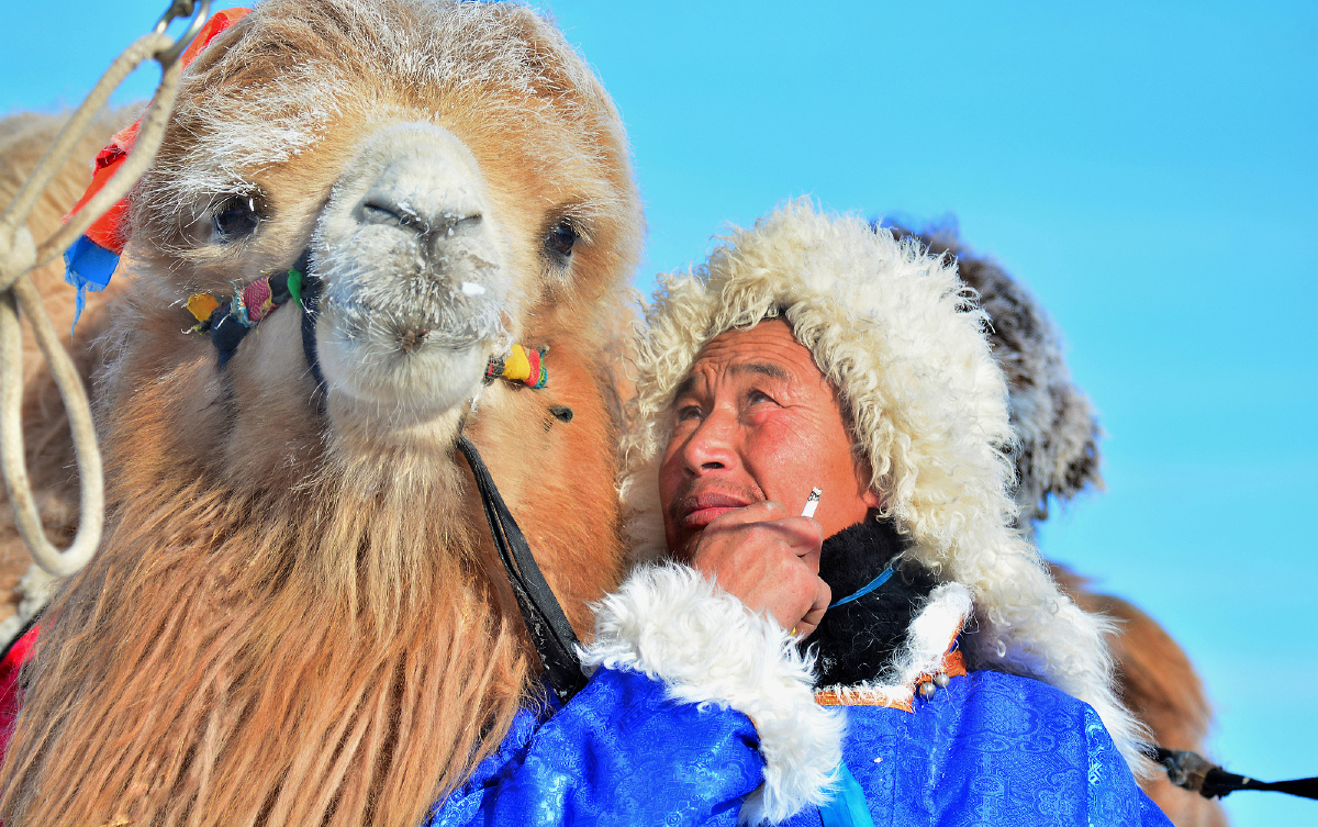 养驼人 - 蜗牛454 - 图虫