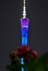 01《花城塔》