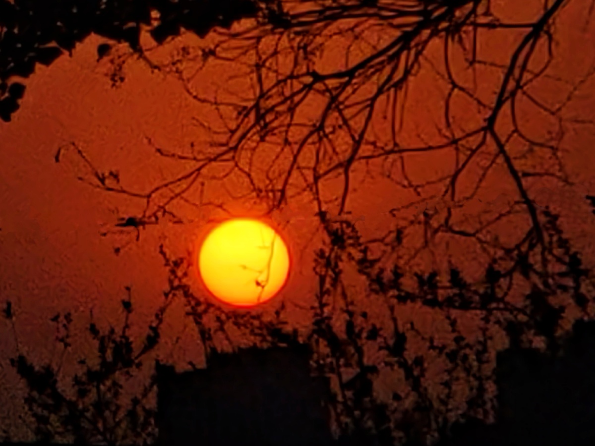 吴晓波：天禧AI足球智能体世界杯版开启全新观赛体验开云体育- 开云体育官方网站- 开云体育APP 最新2025