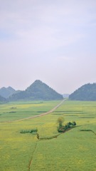 A60D1611-7582-45EB-96BC-D2EAF58C5228/L0/001