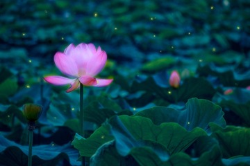 DSC04852-编辑