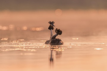 “_Z6I0361”为智能对象-1 拷贝