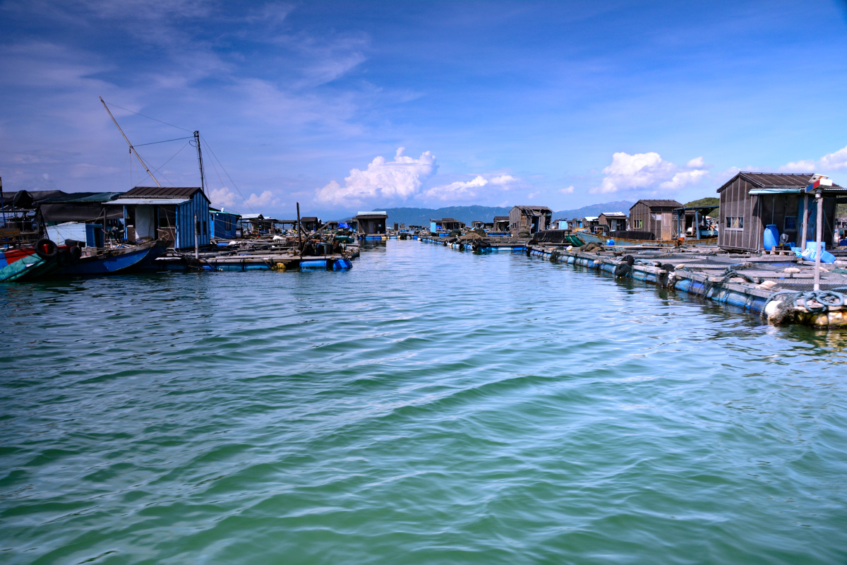 饶平海山海上人家
