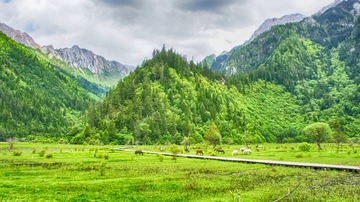 06832253-83F0-494F-861D-6B2EF173A506/L0/001