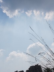 951