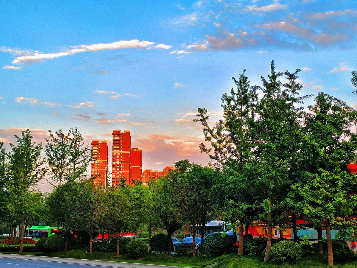 红日升在东方其大道满霞光