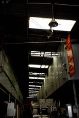 E73529F3-8A91-43A6-B380-95DE7755C6FE/L0/001