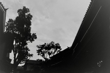 D71B8DCD-F9D2-4D57-9918-9343C19E97A8/L0/001