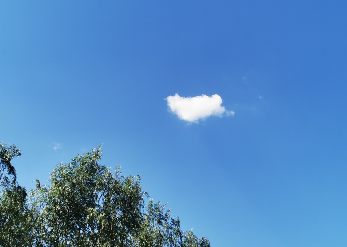 一朵云的自由自在