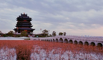 161305