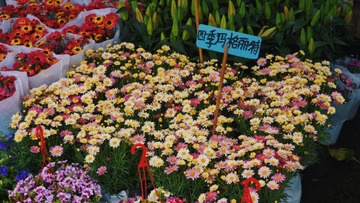 A94393F9-6507-4324-B44E-FE9D14828F46/L0/001