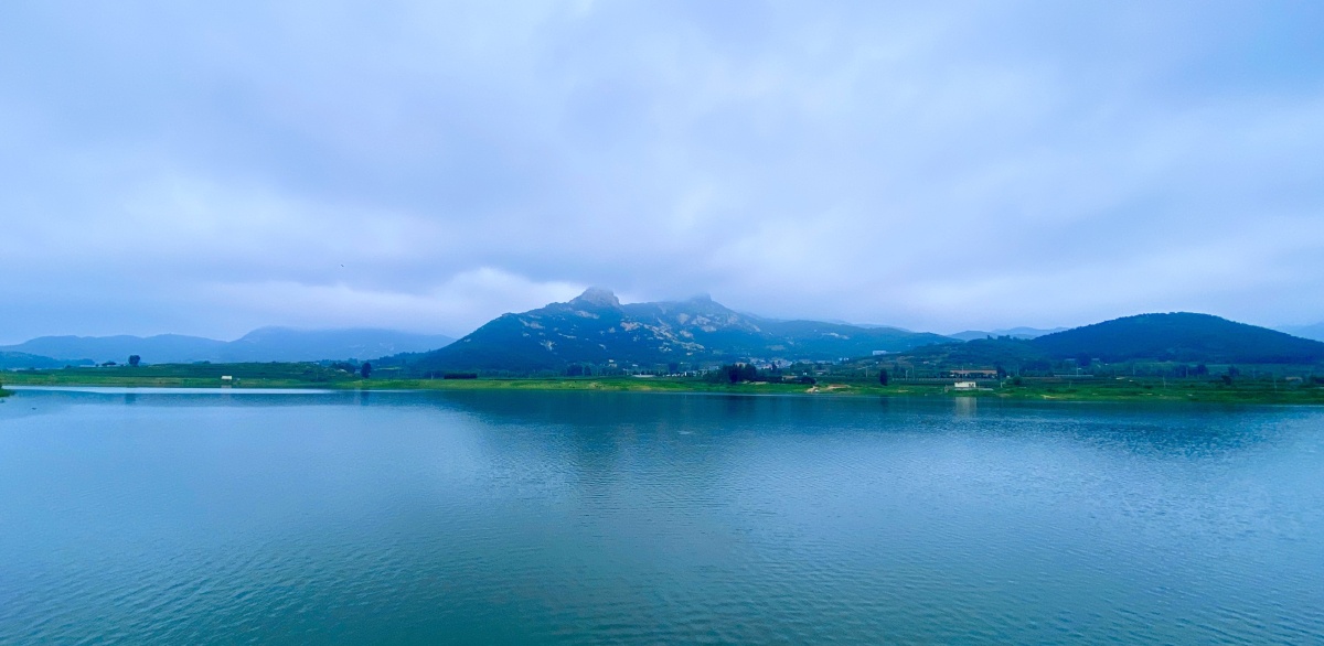 茶山甲子山日照绿茶集中地