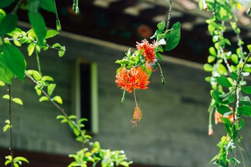 _DSC0423