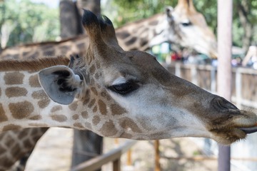 _DSC9435