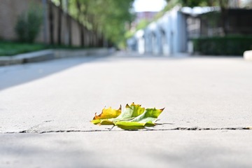 938520
