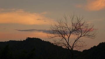 44E1F943-BDDF-4C6D-9F7A-B8E800426702/L0/001