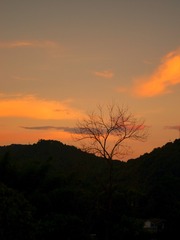 08EBE3E4-332F-4790-8249-3F4760327BD7/L0/001