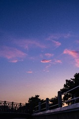 B1968405-9242-4CDA-B37E-A4E3E07802A0/L0/001