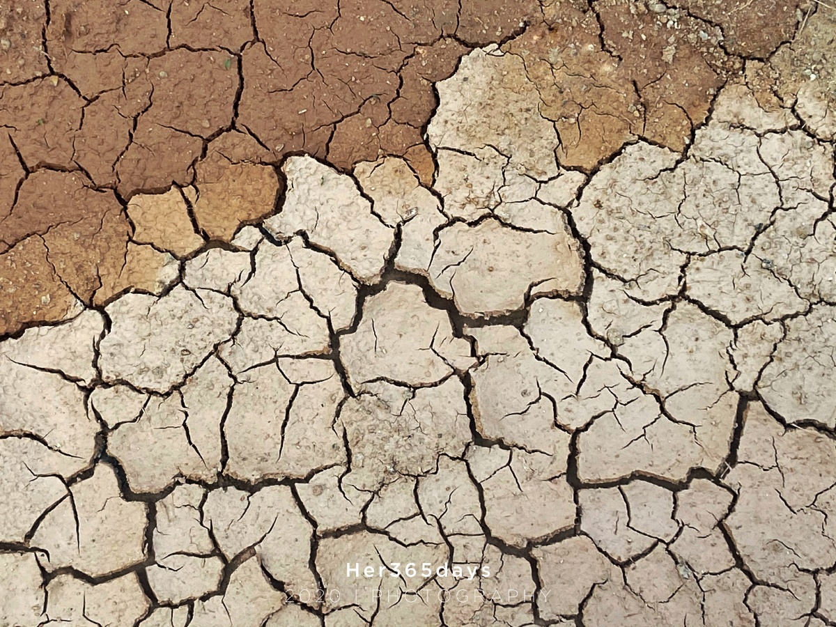 her365days土地的印记