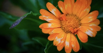 A2986364-5D2E-47D1-A5A7-494BB304BDE2/L0/001