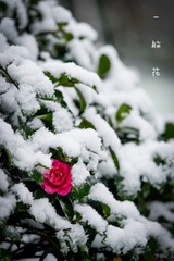 5C9FB76E-2700-484D-930E-BF84E633ABFA/L0/001