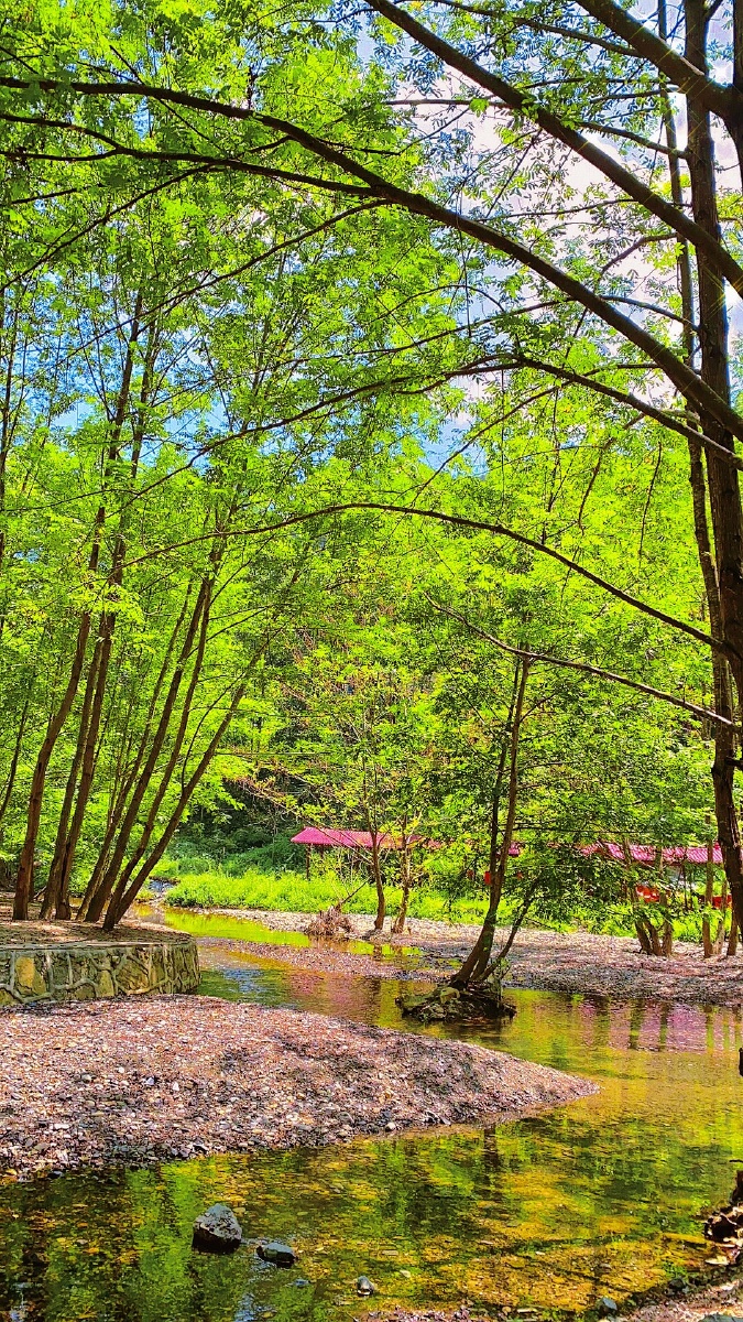 乡村的静谧更能让人感受大自然的美好随手一拍都是一张美丽的风景图
