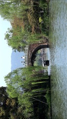 img_9704_conew1