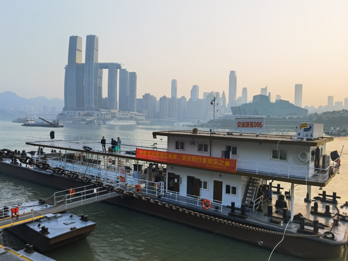 弹子石轮渡码头看海鸥