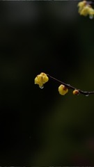 7A3A4750-CDE9-42BD-8A6B-5B16E4797021/L0/001