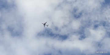 3449662