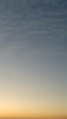 966463