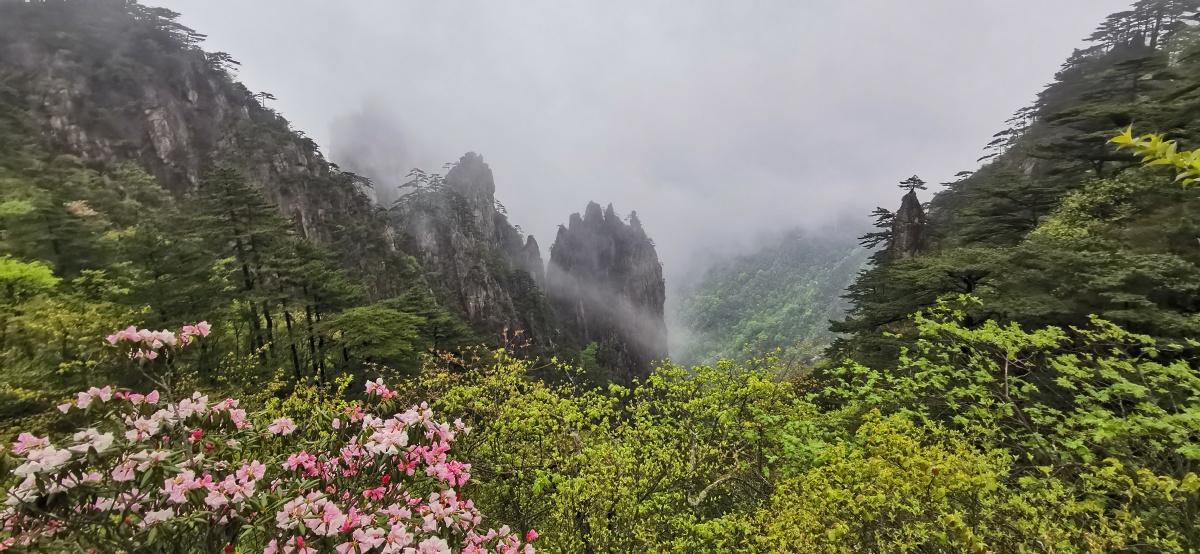黄山梦笔生花