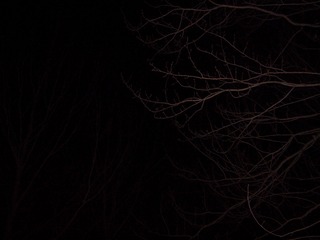 6BD8B73D-44A3-47FA-8117-EBBC5CCEEF37/L0/001