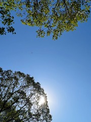 E0577645-50FD-4ADA-BCF2-B5C77B568F89/L0/001