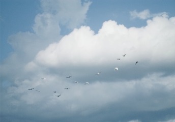 D90628C4-53A1-4D03-8845-2BFFC690B3E7/L0/001