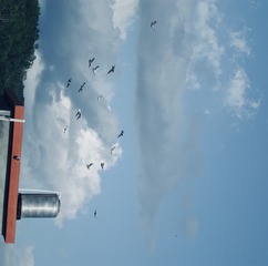7C6DD9F7-3007-49E8-8D5F-3B205021937A/L0/001