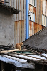 64FA87C9-95EF-4A13-AC9B-B9DD81401271/L0/001