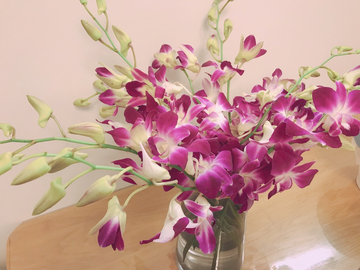 中国水下摄影花植物兰花#花束紫红色洋兰水培#花瓶插花您的打赏,是最