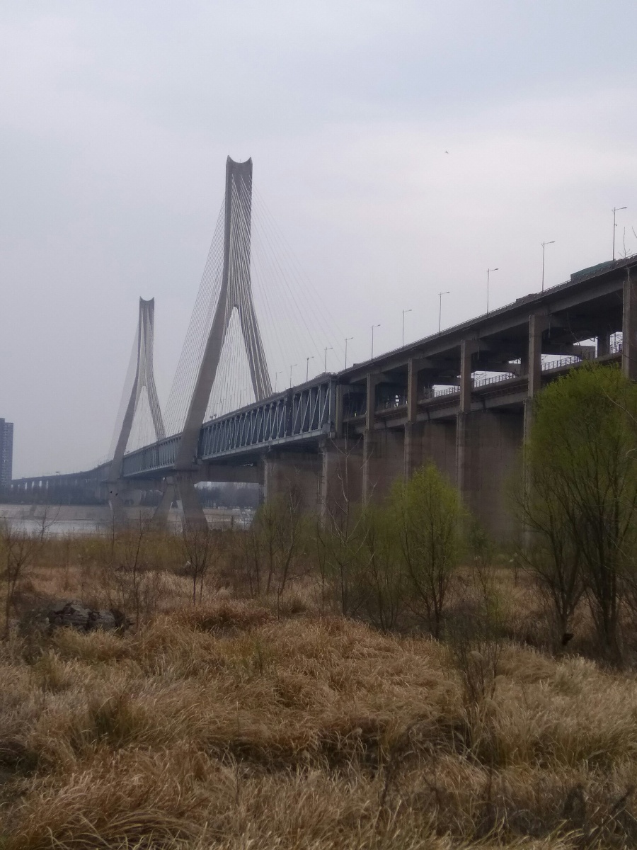 天兴洲大桥公园