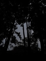 20085